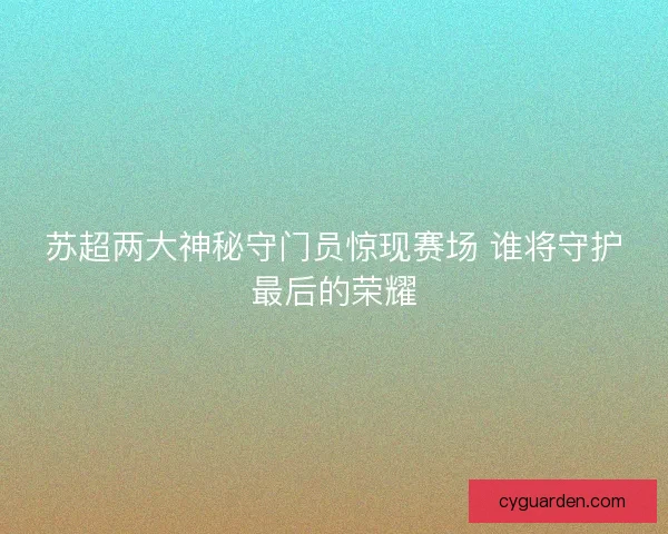 苏超两大神秘守门员惊现赛场 谁将守护最后的荣耀