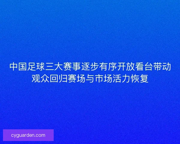 中国足球三大赛事逐步有序开放看台带动观众回归赛场与市场活力恢复