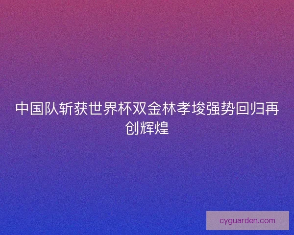 中国队斩获世界杯双金林孝埈强势回归再创辉煌