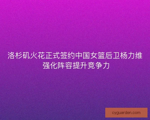 洛杉矶火花正式签约中国女篮后卫杨力维 强化阵容提升竞争力