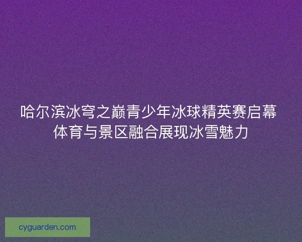 哈尔滨冰穹之巅青少年冰球精英赛启幕 体育与景区融合展现冰雪魅力 哈尔滨冰穹之巅青少年冰球精英赛启幕 体育与景区融合展现冰雪魅力