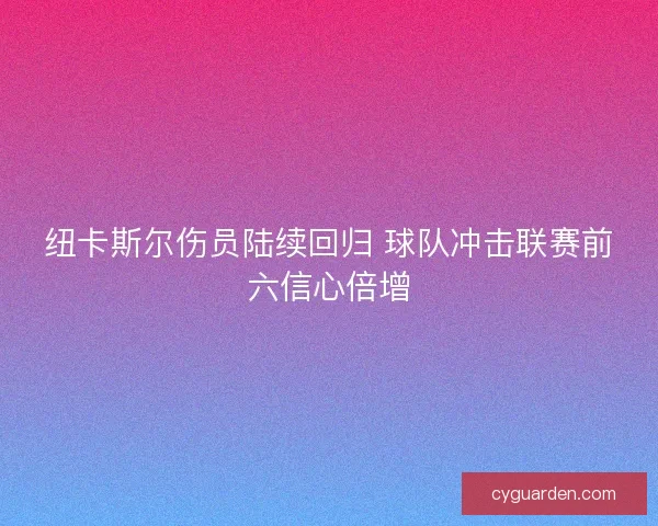 纽卡斯尔伤员陆续回归 球队冲击联赛前六信心倍增